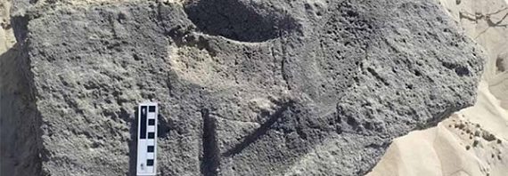 Güney Afrika Sahillerinde Bırakılan İzler İnsanoğlunun En Eski Ayakkabılarına Dair Kanıtlar Sunuyor