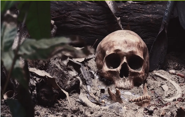 İskelet Kalıntılarından