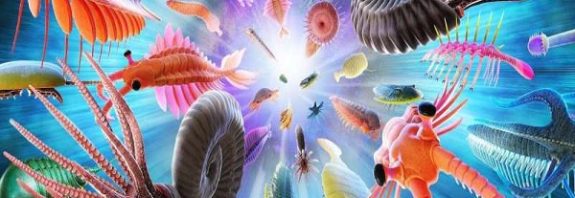 It's reassuring to think humans are evolution's ultimate destination—but research shows we may be an accident