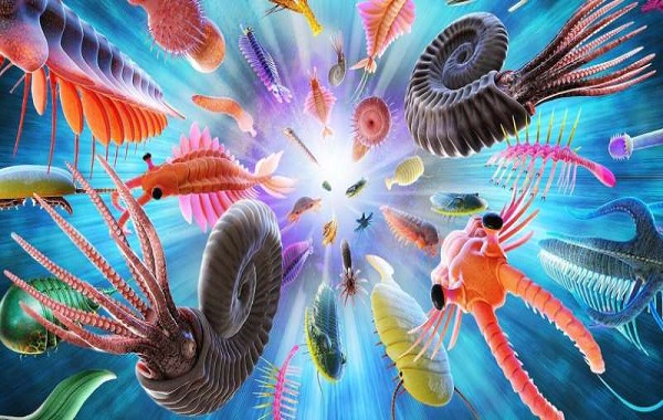 It's reassuring to think humans are evolution's ultimate destination—but research shows we may be an accident