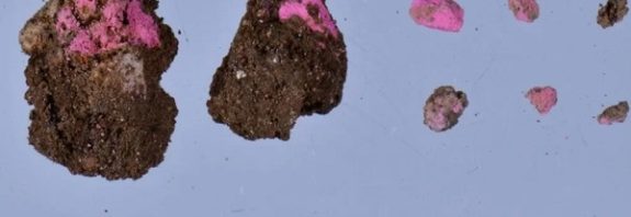 Kütahya Dünya Basınında: 2.000 Yıllık Allık ve Göz Farı Bulundu