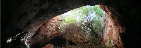 İlk İnsanlar İskelet