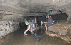 İnsanlara 30 Yıldır