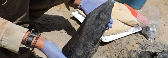 World's Oldest Wooden Structure Made By Ancient Humans Is 476,000 Years Old