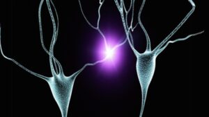 Beynin Elektrikle Uyarılması Devrim Niteliğinde Yeni Bir Demans Tedavisi Olabilir