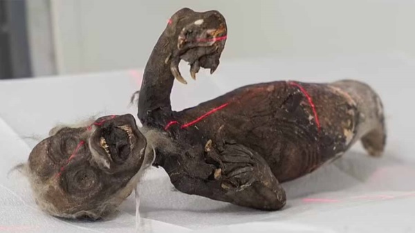 Denizkızı Gerçek mi? Radyoloji, Fiji Canavarının Gizemini Çözüyor