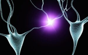 Electrical Brain Stimulation Could Be a Radical New Dementia Therapy