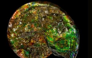 Missing 'Law of Nature' Found That Describes The Way All Things Evolve