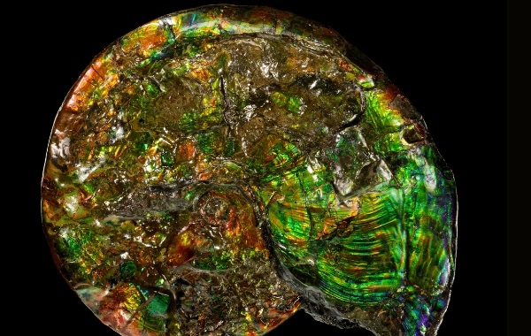 Missing 'Law of Nature' Found That Describes The Way All Things Evolve