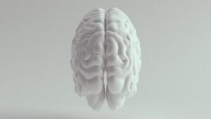 Beyaz Maddedeki Sinyallerin Sırrı: Alzheimer ve Diğer Sağlık Sorunları ile İlişkisi