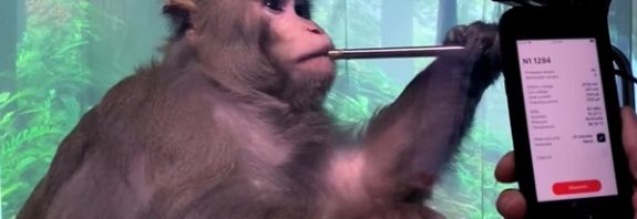 Neuralink Çip Deneylerinde Ölen Köpeklerin Korkunç Ayrıntıları Ortaya Çıktı Elon Musk'ın beyin-bilgisayar arayüzü geliştiren şirketi Neuralink yeni