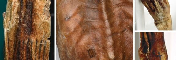 Dünyanın En Eski Dövmeleri Nelerdir?