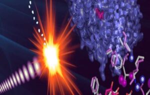 DNA İnşasının Ardındaki