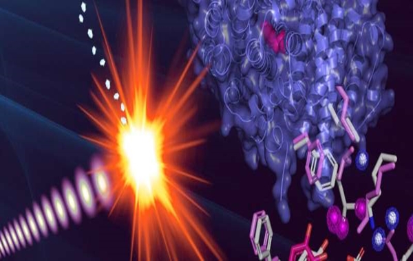 DNA İnşasının Ardındaki