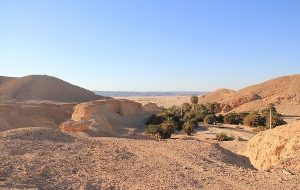 84 Bin Yıl Önce Afrika'dan Avrasya'ya Göçün "Yeşil Yol"u Bulundu