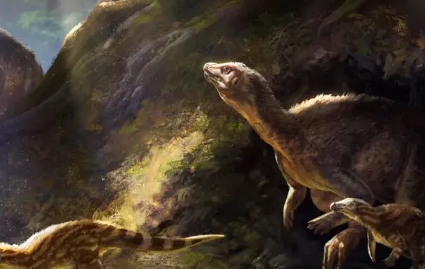 Fossils reveal neglected dinosaur