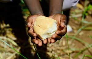 Avustralya'nın Ekmek Mucidi: Aborjinlerin 34.000 Yıllık Antik Ekmek Geleneği