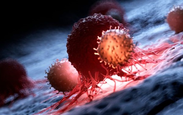 Scientists Find 'Kill Switch' That Activates Cancer Cell Death in The Lab