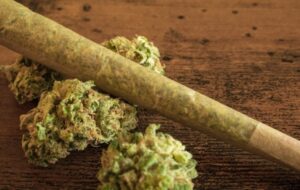 Cannabis Use Linked to Epigenetic Changes, Scientists Reveal