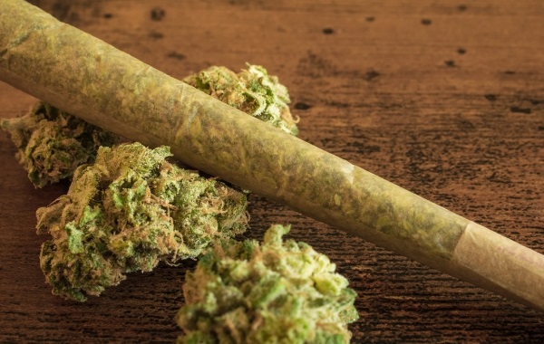 Cannabis Use Linked to Epigenetic Changes, Scientists Reveal