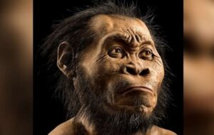 Homo Naledi Aslında Ölülerini Gömmedi, Mağara Çizimleri Yapmadı mı?