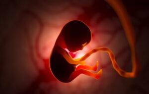 Human couples could give birth to ALIEN babies as scientists work to pioneer sex in space - but gravity and radiation pose serious risks