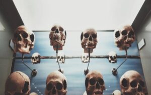 İnsanlar Nasıl Yeni