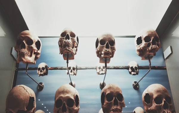 İnsanlar Nasıl Yeni