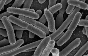 Bakterileri Öldürebilen Polimerler Yaratıldı