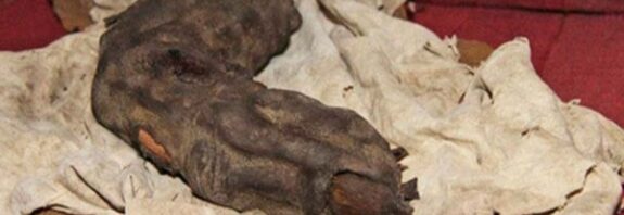 Antik Mısır'dan Kalma Mumyalanmış Dev Parmak
