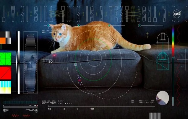 A Purr-fect Deep Space Breakthrough: NASA’s Laser Tech Streams Ultra-HD Cat Video From 19 Million Miles