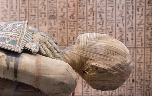 Egyptian Mummy Who Died Giving Birth Found With Baby’s Head Stuck In Pelvis