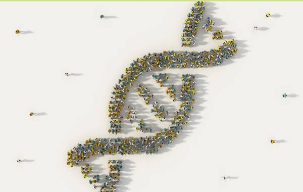 Birisi DNA Dizinizle