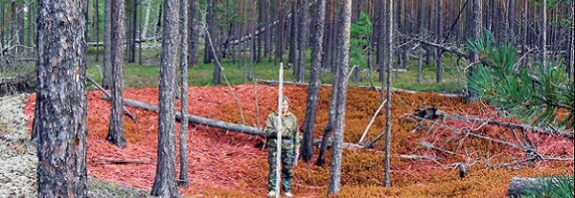 Kimsenin Ummadığı Bir Kültür Dünyanın En Eski Yerleşimlerini İnşa Etti