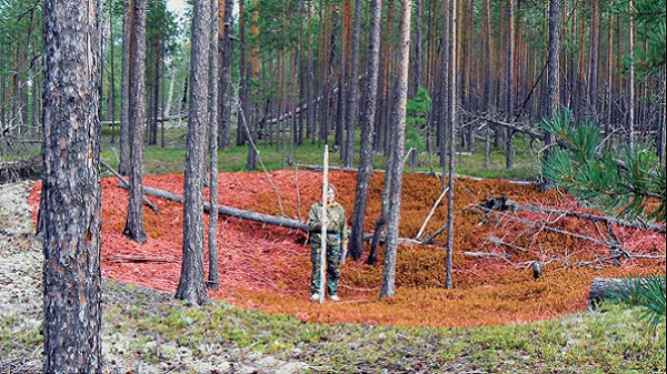 Kimsenin Ummadığı Bir Kültür Dünyanın En Eski Yerleşimlerini İnşa Etti