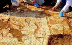 Mardin'de Ahtapottan Yılan Balığına Kadar "Deniz Canlıları Mozaiği" Keşfedildi