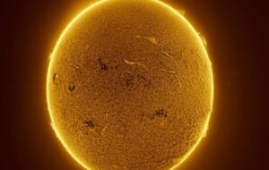 Watch the sun’s activity peak in a mesmerizing timelapse