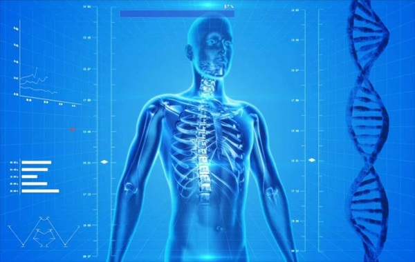 Unexpected Genetic Discovery Opens New Opportunities for Human Health