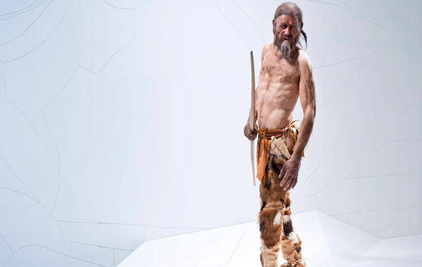 Buz Adam Ötzinin Bağırsağında