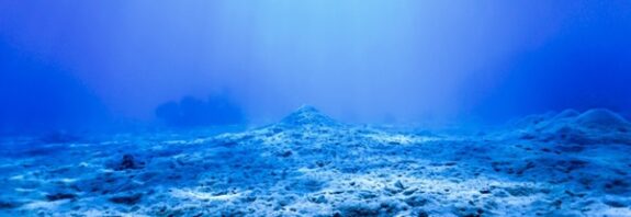 Okyanusun Dibindeki Garip Deliklerin Gizemi Nihayet Çözüldü