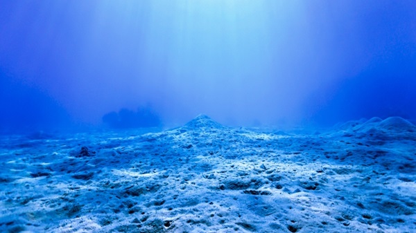 Okyanusun Dibindeki Garip Deliklerin Gizemi Nihayet Çözüldü