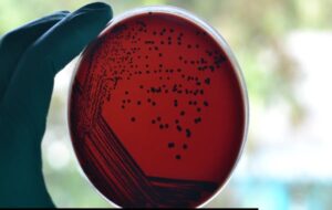 İnsan Vücudu İçinde