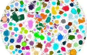 Evolution is not as random as previously thought, finds new study