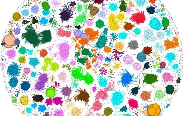 Evolution is not as random as previously thought, finds new study