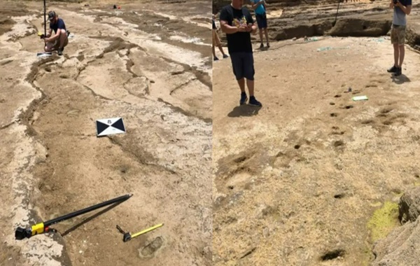 Fasta Bulunan 90.000