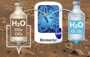 NASA Mars Suyunu İçilebilir Hale Getirmek İçin Bakteri Kullanacak