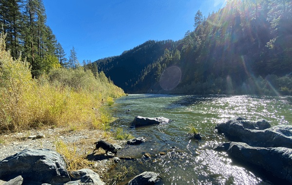100 Yıl Sonra İlk Kez 400 Km'lik Nehirdeki Su Serbestçe Akmaya Başladı