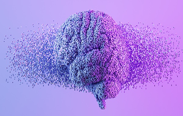 Do We Have Quantum Brains? 'Irrational' Behavior Follows Strange Rules