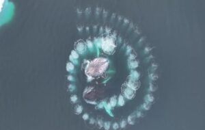 İnanılmaz Drone Görüntüleri