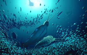 Giant Predatory Worms Dating Back 518 Million Years Found In Greenland